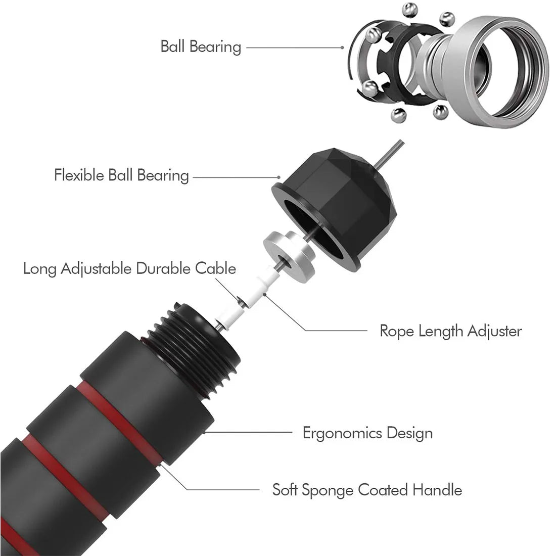 Tangle-Free Rapid Speed Jump Rope with Ball Bearings